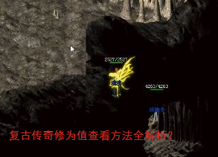 ���Ŵ�����Ϊֵ�鿴����ȫ������