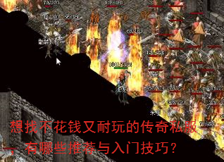 ���Ҳ���Ǯ������Ĵ���˽��������Щ�Ƽ������ż��ɣ�