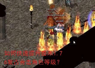 如何快速提升嘉禾1.76复古合击角色等级? 如何快速提升嘉禾1.76复古合击角色等级?