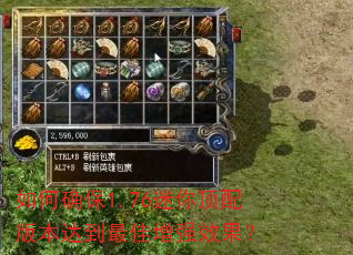 如何确保1.76迷你顶配版本达到最佳增强效果? 如何确保1.76迷你顶配版本达到最佳增强效果?