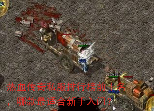 ��Ѫ����˽�����а�ǰʮ�����Ŀ����ʺ��������ţ�