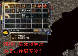 如何打造无限麻痹的复古传奇宠物? 如何打造无限麻痹的复古传奇宠物?