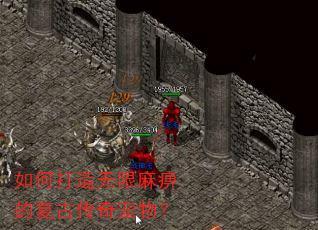 如何打造无限麻痹的复古传奇宠物? 如何打造无限麻痹的复古传奇宠物?