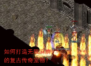 如何打造无限麻痹的复古传奇宠物? 如何打造无限麻痹的复古传奇宠物?