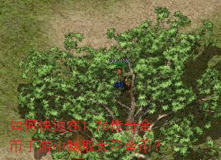 如何快速在1.76传奇金币手游中赚取大量金币? 如何快速在1.76传奇金币手游中赚取大量金币?