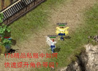 176精品私服中如何快速提升角色等级? 176精品私服中如何快速提升角色等级?
