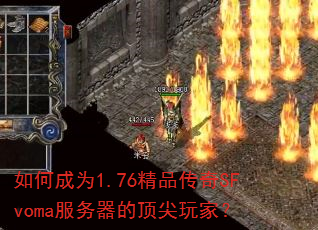 ��γ�Ϊ1.76��Ʒ����SFvoma�������Ķ�����ң�