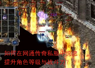 如何在网通传奇私服中快速提升角色等级与战斗力? 如何在网通传奇私服中快速提升角色等级与战斗力?