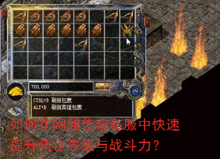 如何在网通传奇私服中快速提升角色等级与战斗力? 如何在网通传奇私服中快速提升角色等级与战斗力?