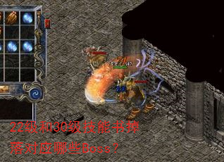 22级和30级技能书掉落对应哪些Boss? 22级和30级技能书掉落对应哪些Boss?