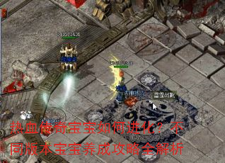 ��Ѫ���汦����ν�������ͬ�汾�������ɹ���ȫ����
