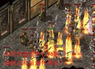 如何快速提升1.76网通精品私服角色等级? 如何快速提升1.76网通精品私服角色等级?