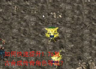 如何快速提升1.76复古合成传奇角色等级? 如何快速提升1.76复古合成传奇角色等级?