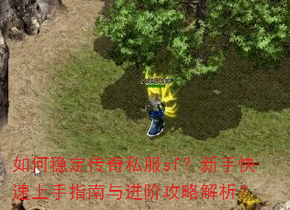 ����ȶ�����˽��sf�����ֿ�������ָ������׹��Խ�����