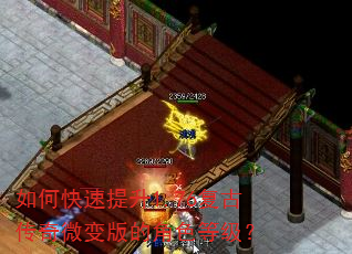 如何快速提升1.76复古传奇微变版的角色等级? 如何快速提升1.76复古传奇微变版的角色等级?