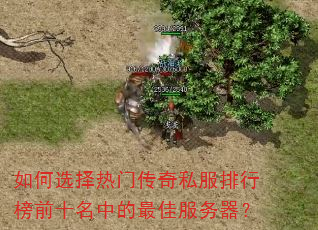 ���ѡ�����Ŵ���˽�����а�ǰʮ���е���ѷ�������