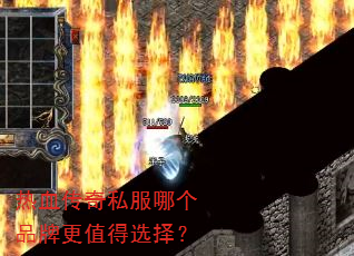 ��Ѫ����˽���ĸ�Ʒ�Ƹ�ֵ��ѡ��