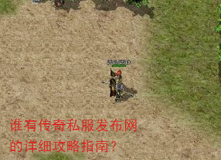 谁有传奇私服发布网的详细攻略指南? 谁有传奇私服发布网的详细攻略指南?