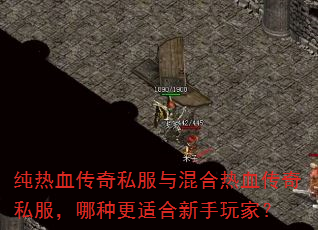 纯热血传奇私服与混合热血传奇私服,哪种更适合新手玩家? 纯热血传奇私服与混合热血传奇私服,哪种更适合新手玩家?