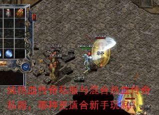 纯热血传奇私服与混合热血传奇私服,哪种更适合新手玩家? 纯热血传奇私服与混合热血传奇私服,哪种更适合新手玩家?