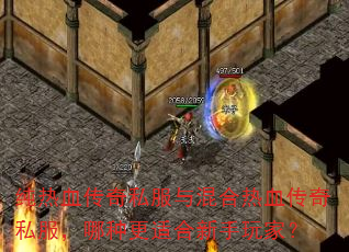 纯热血传奇私服与混合热血传奇私服,哪种更适合新手玩家? 纯热血传奇私服与混合热血传奇私服,哪种更适合新手玩家?
