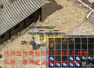 纯热血传奇私服与混合热血传奇私服,哪种更适合新手玩家? 纯热血传奇私服与混合热血传奇私服,哪种更适合新手玩家?