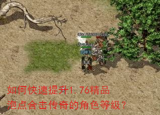 如何快速提升1.76精品泡点合击传奇的角色等级? 如何快速提升1.76精品泡点合击传奇的角色等级?