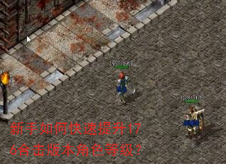 新手如何快速提升176合击版本角色等级? 新手如何快速提升176合击版本角色等级?