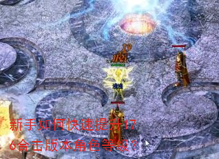 新手如何快速提升176合击版本角色等级? 新手如何快速提升176合击版本角色等级?