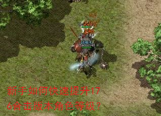 新手如何快速提升176合击版本角色等级? 新手如何快速提升176合击版本角色等级?