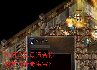 如何选择最适合你的复古传奇宝宝? 如何选择最适合你的复古传奇宝宝?
