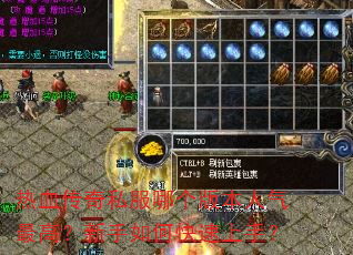 热血传奇私服哪个版本人气最高?新手如何快速上手? 热血传奇私服哪个版本人气最高?新手如何快速上手?