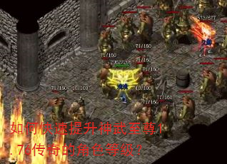 如何快速提升神武至尊1.76传奇的角色等级? 如何快速提升神武至尊1.76传奇的角色等级?