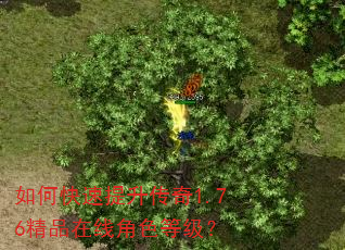 如何快速提升传奇1.76精品在线角色等级? 如何快速提升传奇1.76精品在线角色等级?